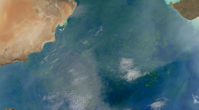 <strong>Winter Bloom in the Arabian Sea as seen by Aqua-MODIS</strong>