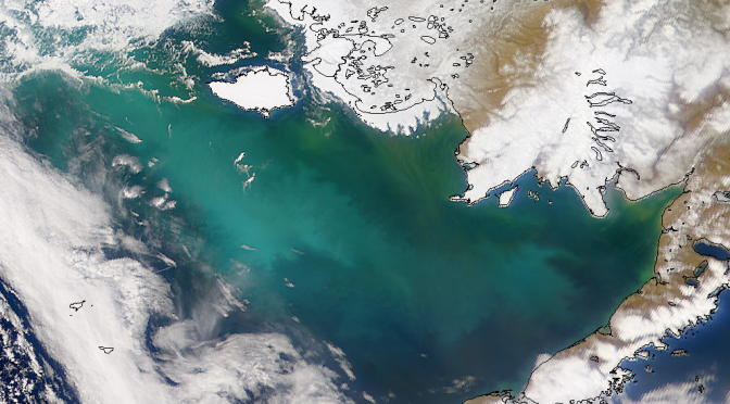 <strong>BERING SEA -THE GATEWAY TO THE ARCTIC</strong>
