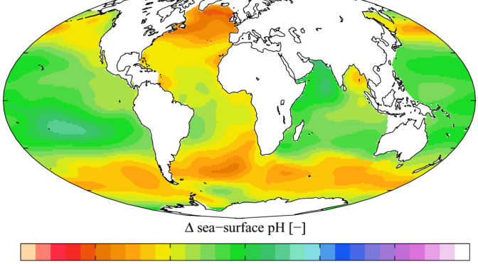 <strong>Increased CO2 and Ocean Acidification</strong>